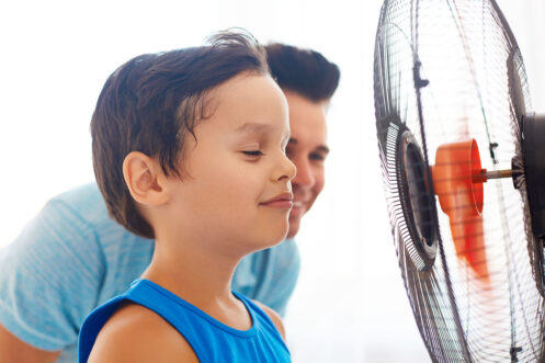 Whole-Home Dehumidifiers in Belleville, ON